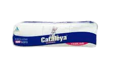 SERVILLETA CATALEYA X300 (B16PAQ X300UNI)