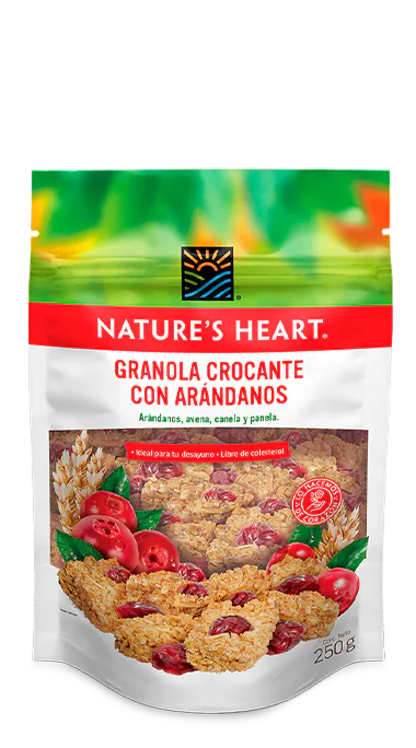 GRANOLA CROCANTE CON ARANDANOS 250G