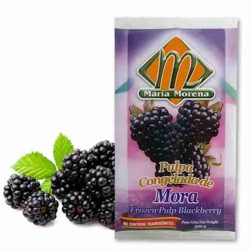 PULPA DE MORA MARIA MORENA 500G