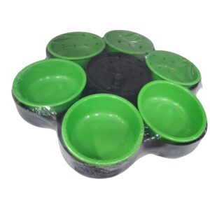 SET SALSEROS  RIVADAVIA NEGRO/VERDE