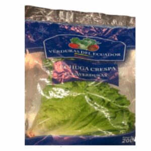 LECHUGA CRESPA  ECUAVERDURAS
